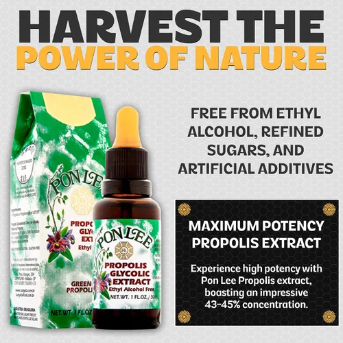 Vista 3 de PONLEE Extracto líquido de propóleo de abeja verde de Brasil sin alcohol 30ML 1 paquete