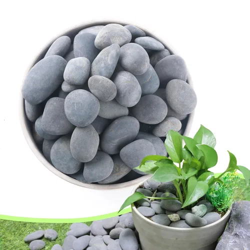 Vista 15 de Piedras de río de 2.4 libras para plantas y suculentas, paisajismo decorativo al aire libre y rocas de jardín de acuarios
