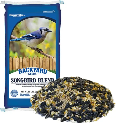 Vista 15 de CountryMax Backyard Seeds Semillas de Girasol de Aceite Negro para Aves Silvestres (50 Libras)