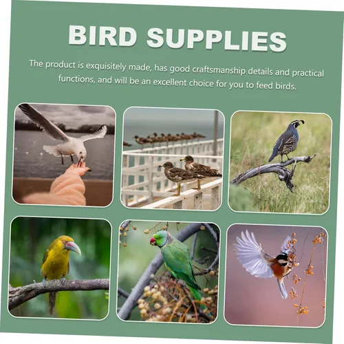 Vista 5 de 4 unids Semicírculo Contenedor de Comida de Loro Comedero Plástico Pájaros Alimentador Jaula de Pájaros Tazón Contenedor Tazón Loro Alimentador Pet