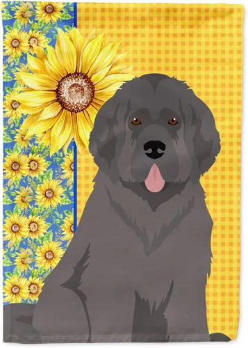 Vista 364 de Caroline's Treasures WDK5313GF Bandera de jardín con diseño de girasoles de verano, color negro y tostado, Airedale Terrier para buzón, bandera