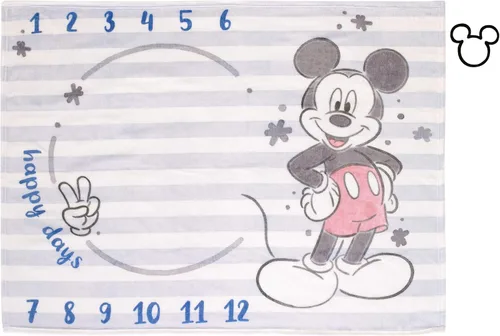 Vista 6 de Disney Classic Winnie The Pooh, manta de bebé súper suave color blanco, gris y lima, blanco, gris, lima, carbón