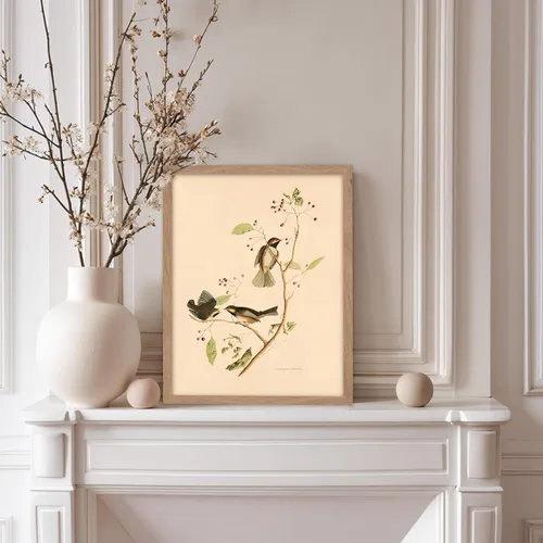 Vista 5 de Poster Master Póster Vintage de Titmouse Canadiense - Impresión Retro de Aves de América - Arte de Aves - Regalo para Hombres, Mujeres y Amantes