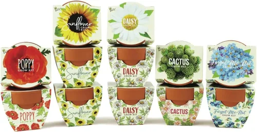 Vista 8 de BUZZY Seeds Daydream - Mini macetas de terracota con paquetes de semillas de margarita, juego de iniciación todo en uno con instrucciones medianas