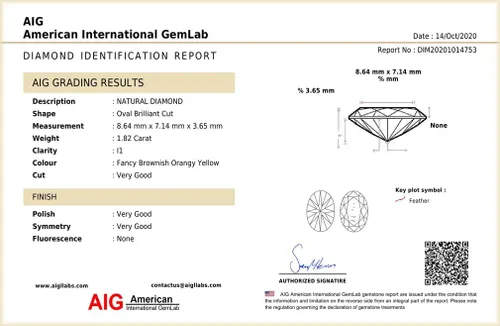 Vista 3 de 1.82 ct Corte ovalado certificado AIG (0.354 x 0.276 in) sin calentarsin tratar naranja amarillo diamante suelto, Gema, anaranjado, amarillo