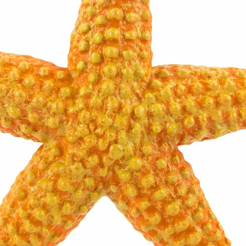 Vista 8 de Safari Ltd. Figura de estrella de mar, vibrante figura de estrella de mar de 4.5 pulgadas, juguete educativo para niños, niñas y niños a partir de 3