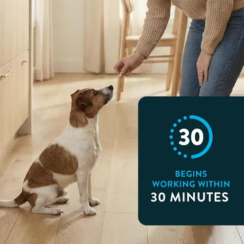 Vista 4 de Capstar (Nitenpyram) Tratamiento oral de pulgas de acción rápida para perros de 2 a 25 libras, tabletas de medicamentos recomendadas por