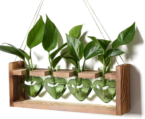 Vista 12 de Estaciones de propagación de plantas, kit de terrario de plantas de corazón, regalo para mujeres, amantes de las plantas, jarrones de vidrio Ámbar
