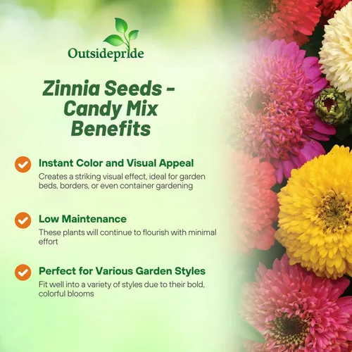 Vista 3 de Outsidepride - Zinnia Elegans, 200 semillas anuales, Candy Flower Seed Mix, mezcla de semillas de flores para plantar