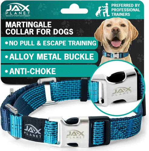 Vista 10 de Collar Martingale para perros, collar de entrenamiento para perros sin tirones y antideslizante, nailon resistente para caminar activamente, hebilla