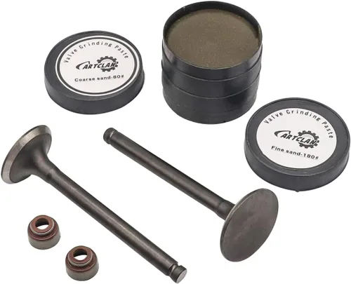 Vista 6 de Válvula de escape de admisión del motor y kit de sello para Club Car Gas 1992 en adelante DS & Precedent carrito de golf con motores FE290 OEM #