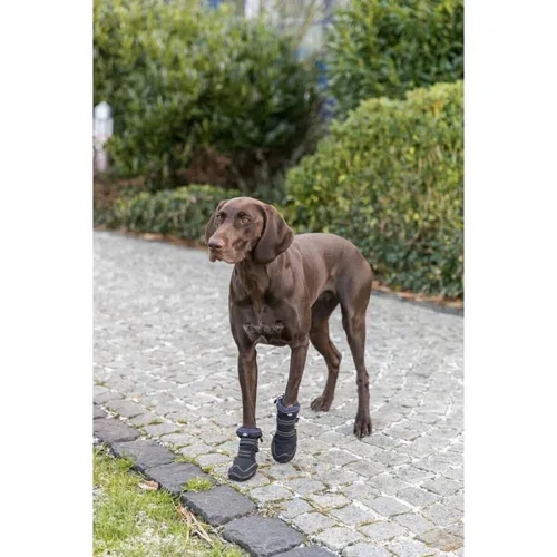 Vista 25 de Zapatos para perros Trixie 19410 Negro
