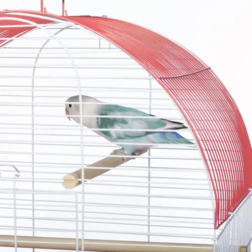 Vista 8 de Prevue Pet Products South Beach Dome Top Bird Jaula, Coral (SP50100)