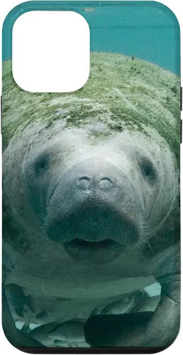 Vista 16 de Manatee Case for iPhone 17