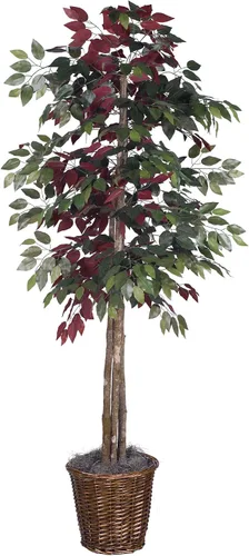 Vista 8 de Vickerman Arbusto artificial Capensia Ficus de 4', contenedor de plástico marrón.