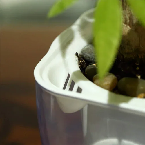Vista 9 de FENGZHITAO - Maceta de riego automático, macetas de plástico transparente con riego automático, maceta cuadrada para todas las plantas de casa