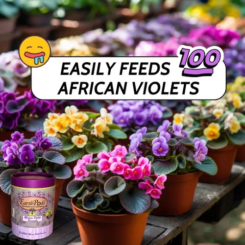 Vista 5 de Premium Alimento para plantas – Estacas de fertilizantes orgánicos – 100 unidades Slow release plant food sticks for blooming African violets