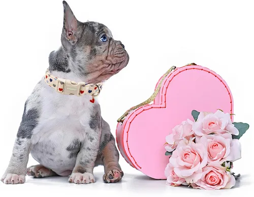 Vista 5 de DOGWONG Collar de perro de San Valentín, collar de perro con estampado de corazones para perros grandes, lindos collares de primavera, hembra