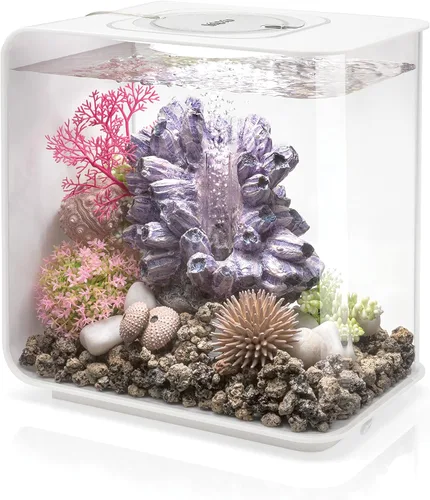 Vista 11 de biOrb Flow 15 - Acuario acrílico de 4 galones con luces LED blancas, moderno y compacto para exhibición en mesa o escritorio, negro Negro