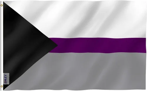 Vista 7 de Anley Fly Breeze - Bandera demiromántica del orgullo de 3 x 5 pies, color vivo y a prueba de decoloración, cabecera de lona y doble costura