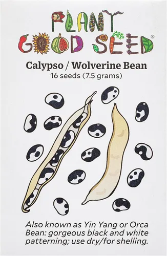 Vista 4 de Plant Good Seed Semillas de frijol orgánico ojo de tigre – Paquete de 18 semillas de frijol arbusto de reliquia para plantar verduras, suministros