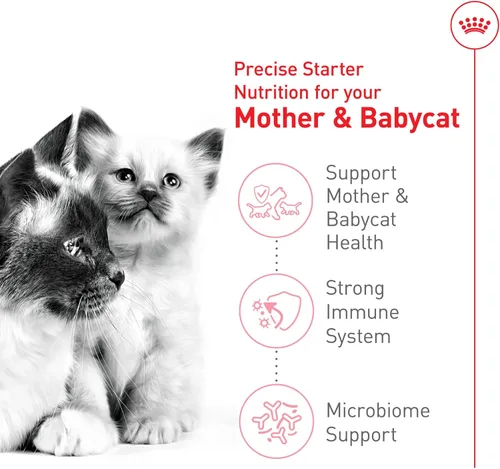 Vista 4 de Royal Canin Feline Health Nutrition Mother & Babycat Queen - Alimento seco para gatos, bolsa de 3 libras