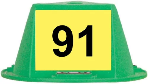 Vista 15 de Toppers magnéticos para techo, sombreros magnéticos para automóvil, juego de 10 unidades, con numeración (azul, numerados del 1 al 10)