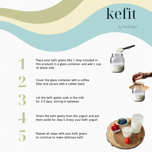 Vista 3 de Granos de kéfir, Kefit de NatuDelight 1 cucharada de granos de kéfir de leche fresca, cultivos iniciadores de kéfir activos vivos, leche de kéfir