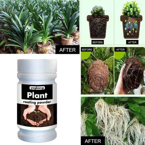 Vista 3 de Polvo de raíz, polvo de enraizamiento para esquejes, hormona de raíz, estimulador de raíces, fertilizante y mejorador de suelo, cultiva nuevas