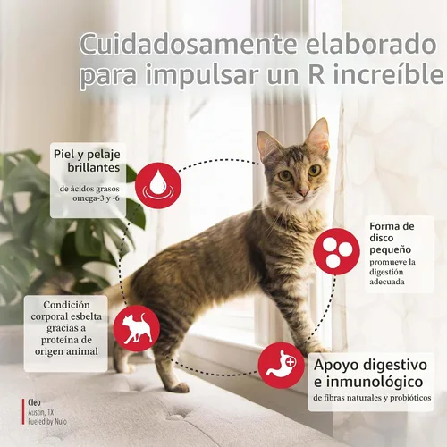 Vista 4 de Nulo Comida para Gatos Freestyle, Para el Manejo de Bolas de Pelo, Croquetas Secas Premium Sin Granos de Bocado Pequeño, Receta de Proteína Animal