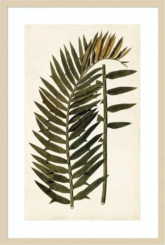Vista 16 de Amanti Art Vision Studio - Lienzo decorativo para pared, 24 x 17 pulgadas, variedades de hojas VIII, arte de pared de naturaleza, decoración