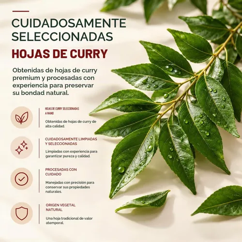 Vista 3 de Amalth Cápsulas de extracto de hoja de curry de 500 mg Cápsulas de suplemento de hoja de curry Extracto de Murraya Koenigii Suplemento a base