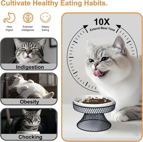 Vista 2 de 2 piezas de comederos elevados de cerámica para gatos con alimentación lenta con soporte, comedero lento para gatos para comida húmeda y seca