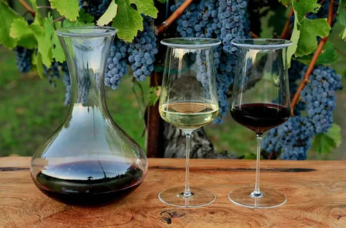 Vista 2 de Cubierta para copa de vino - Paquete de 4