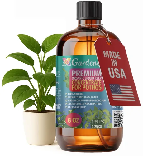 Vista 12 de GARDENERA Superalimento orgánico prémium de algas marinas y algas marinas para plantas AROID - 32 oz - Concentrado de fertilizante líquido de algas