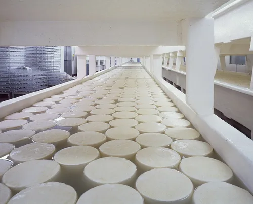 Vista 5 de Cuajo microbiano Paquete de 7 sobres + 1 GRATIS (total 8 x 0.04 oz) Usa un sobre para 100 litros de leche