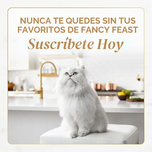 Vista 11 de Purina Fancy Feast Gourmet - Paquete variado de alimentos húmedos para gatos, colección Petites Gravy, tinas separables, 24 porciones
