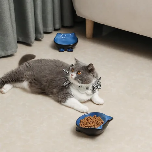 Vista 7 de Nihow Ceramic Basic Cat Bowls: cuenco para gatos de 5 pulgadas para alimentos y agua Food Grade Cat Dish for Small-Sized Cat - Microwave &