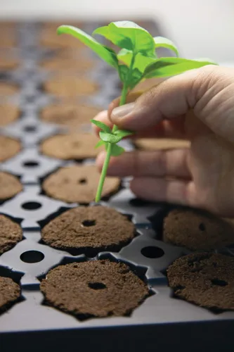 Vista 2 de General Hydroponics Arrancador de plantas RapidRooter, 1400 enchufes de repuesto a granel