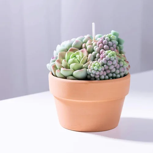 Vista 8 de Surtido suculento Pot vela perfumada para spa decoración del hogar regalo de boda