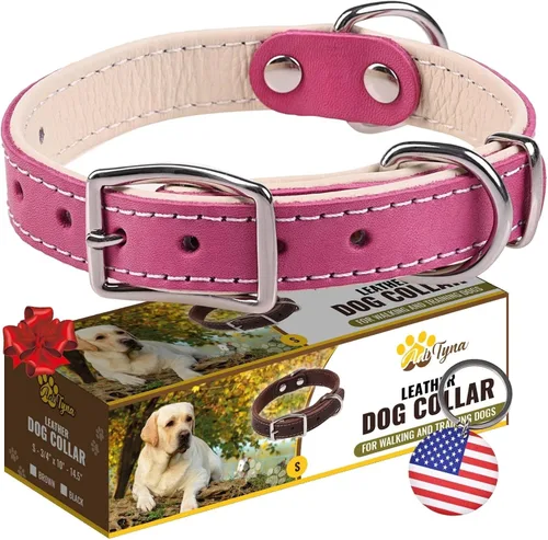 Vista 27 de ADITYNA Collar de perro de cuero negro resistente para perros pequeños, acolchado suave para mayor comodidad, collar de perro pequeño para caminar