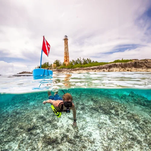 Vista 9 de BLU3 Sistema de buceo Nomad Battery-Powere