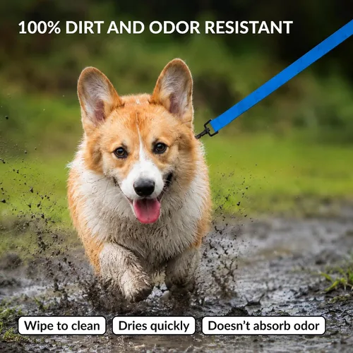 Vista 4 de CollarDirect Correa impermeable para perro, pequeña, mediana grande, duradera, para caminar, entrenamiento, correr, rosa, negro, azul, naranja