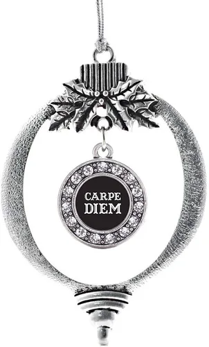 Vista 524 de Inspired Silver - Adorno de cromosoma 21 con dije de círculo de plata con joyas de circonita cúbica
