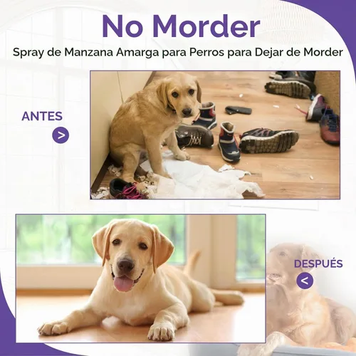 Vista 4 de WEALLIN Spray antimasticable para perros, 6.76 onzas líquidas, espray de manzana amarga para perros, aerosol disuasorio para perros, detiene