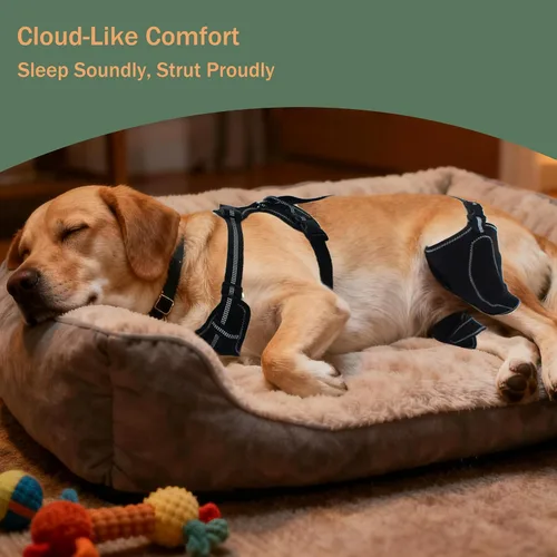 Vista 7 de Rodillera para perro para desgarro ACL/CCL – Soporte ajustable para patas traseras con arnés antideslizante y férula interior, soporte