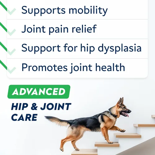 Vista 3 de Glucosamina avanzada para perros, colágeno y mejillón de labios verdes
