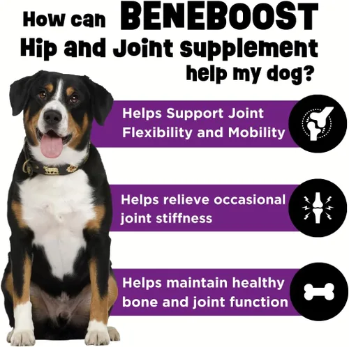 Vista 2 de Dinovite BeneBoost - Cubrealimentos para cadera y articulaciones para perros, sabor a tocino, 6 onzas Glucosamine, Chondroitin, MSM & Hyaluronic