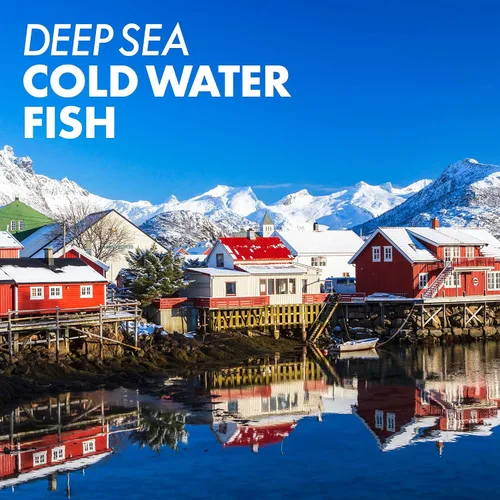 Vista 4 de Bluebonnet Nutrición Vitamina A 10,000 UI de aguas profundas, agua fría, aceite de pescado - Para la salud ocular y la función inmunológica* - Sin