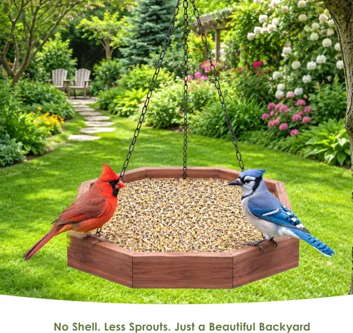 Vista 5 de Kaytee Wild Bird Ultimate Alimento para Aves Silvestres Sin Desorden, Semillas para Cardenales, Pinzones, Carboneros, Trepadores Azules, Pájaros